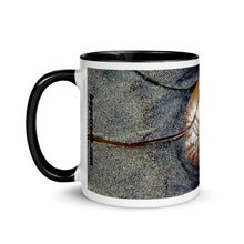 Load image into Gallery viewer, Mug - San Diego Sea Dollar