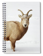 Load image into Gallery viewer, Sheep In Snow - Spiral Notebook