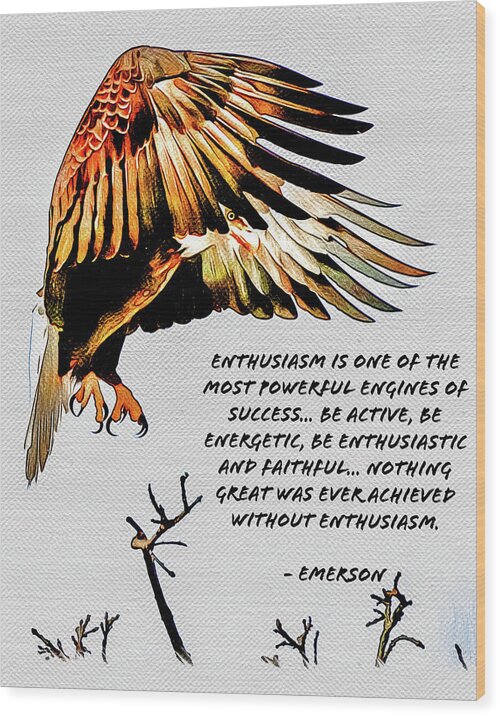 Enthusiasm - Eagle - Wood Print