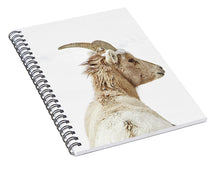 Load image into Gallery viewer, Sheep Glance In Snow - Spiral Notebook