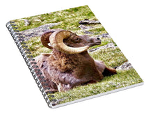 Load image into Gallery viewer, Bighorn Ram In RMNP - Spiral Notebook