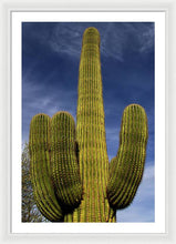 Load image into Gallery viewer, Blue Sky Saguaro - Framed Print