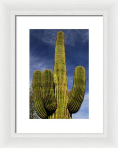 Blue Sky Saguaro - Framed Print