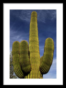 Blue Sky Saguaro - Framed Print