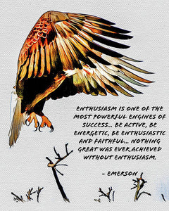 Enthusiasm - Eagle - Art Print