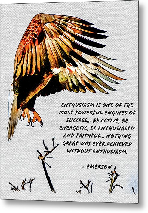 Enthusiasm - Eagle - Metal Print