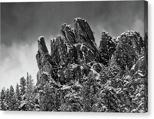 Jagged Trails in Winter - Canvas Print