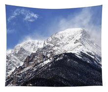 Load image into Gallery viewer, Mount Chapin Colorado - Tapestry