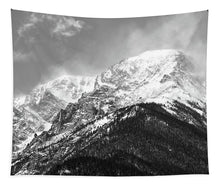 Load image into Gallery viewer, Mount Chapin RMNP - Tapestry