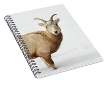 Load image into Gallery viewer, Sheep In Snow - Spiral Notebook