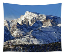 Load image into Gallery viewer, Taylor Peak And Sharkstooth, Rmnp - Tapestry