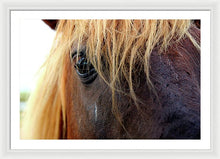 Load image into Gallery viewer, Wild Eyes Of Assateague - Framed Print