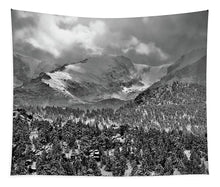 Load image into Gallery viewer, Winter View From Lumpy Range Trail - Tapestry